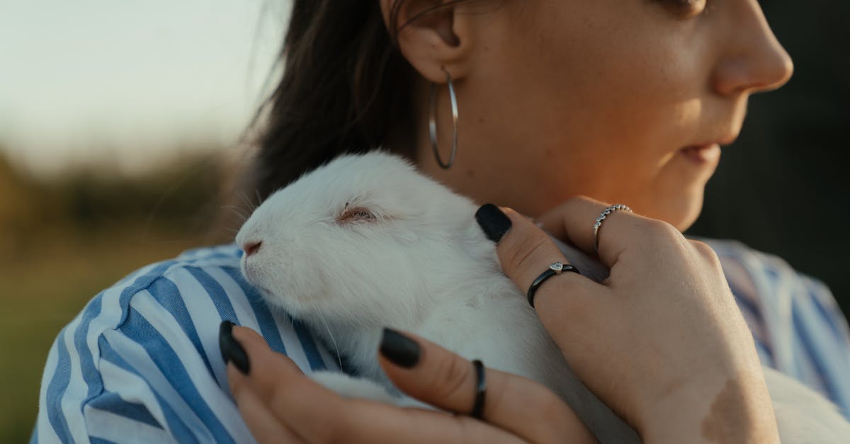 découvrez tout sur le lièvre : son habitat, son alimentation, ses habitudes et les différences avec le lapin. informations complètes et conseils pour reconnaître et protéger ce petit mammifère sauvage.