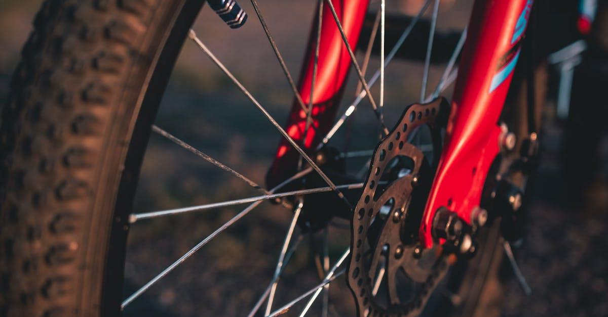 découvrez tout ce que vous devez savoir sur le cycle de chaleur, un phénomène essentiel dans la reproduction des animaux. apprenez comment il influence le comportement, la fertilité et la santé des animaux, ainsi que les meilleures pratiques pour les éleveurs.