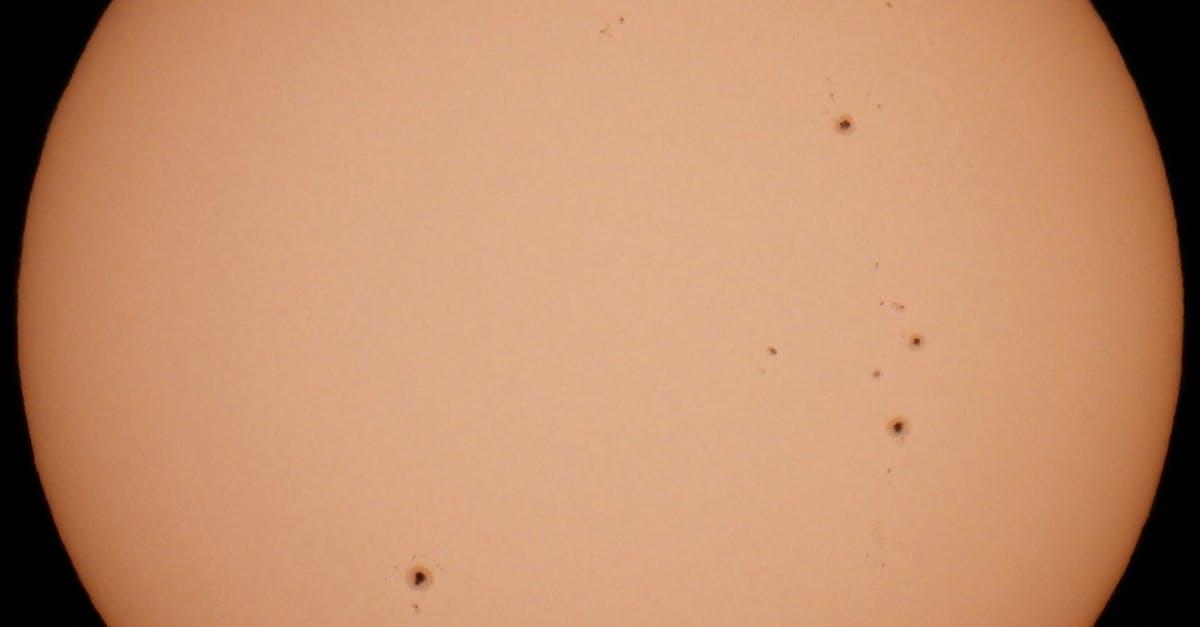 découvrez tout ce qu'il faut savoir sur le cycle de chaleur chez les animaux : phases, comportements, et conseils pour la reproduction. informez-vous sur la gestion et les soins à apporter durant cette période cruciale.