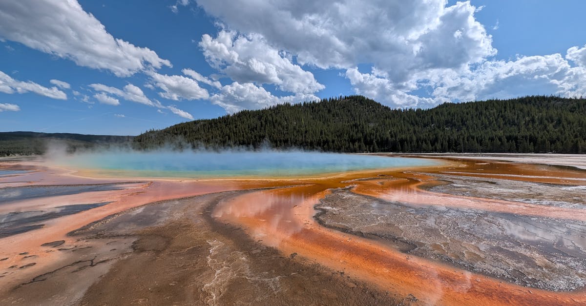 découvrez tout ce qu'il faut savoir sur le cycle de chaleur chez les animaux. apprenez comment identifier les signes, comprendre son importance et assurer le bien-être de vos compagnons pendant cette période cruciale.