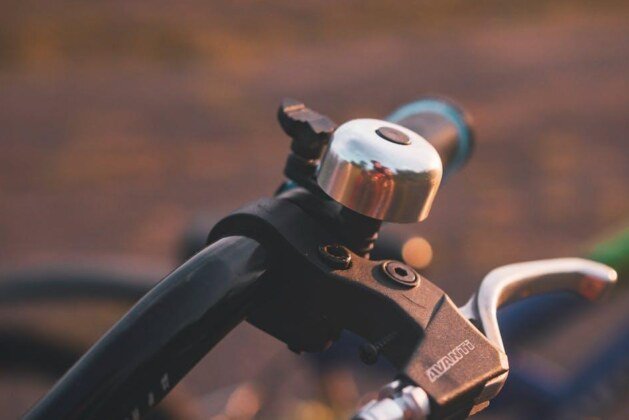 Combien de temps durent les chaleurs chez un chat ?