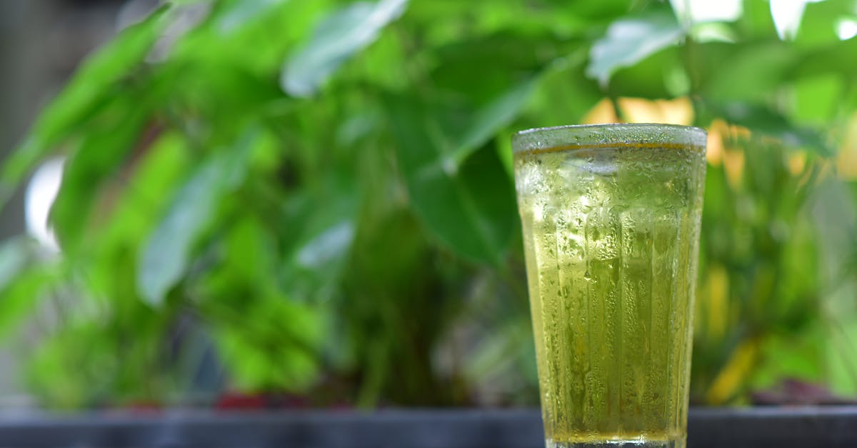 découvrez l'importance de l'hydration pour votre santé. conseils, astuces et bienfaits pour rester bien hydraté au quotidien.