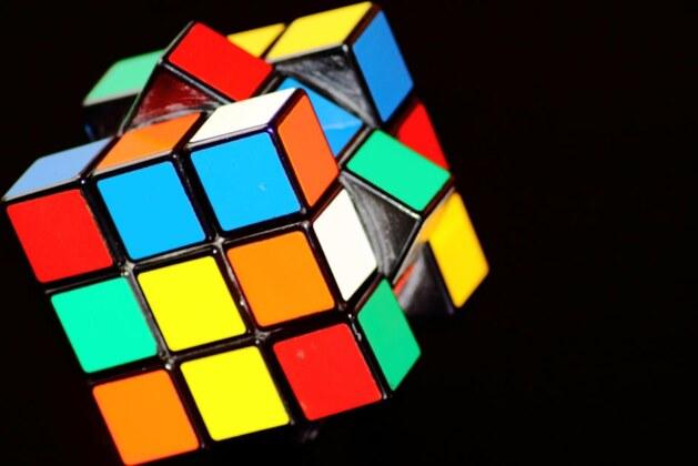 Certains animaux sont-ils plus intelligents que d’autres ?