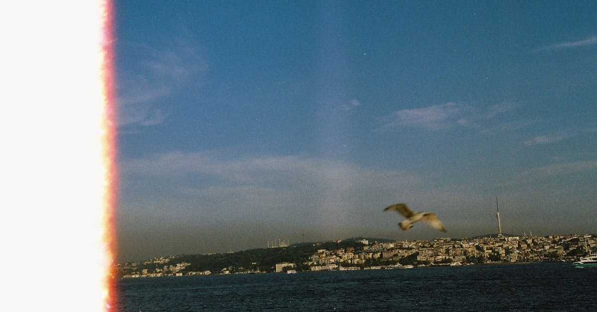 découvrez les films les plus longs jamais réalisés dans l'histoire du cinéma. parcourez notre classement pour explorer ces chefs-d'œuvre d'une durée exceptionnelle, parfaits pour les amateurs de longs visionnages.