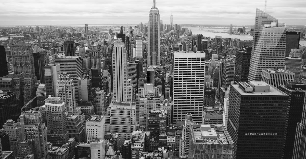 découvrez la signification, l'importance et l'utilisation du terme 'majority' en français. obtenez des exemples clairs et des explications pour mieux comprendre ce concept essentiel.