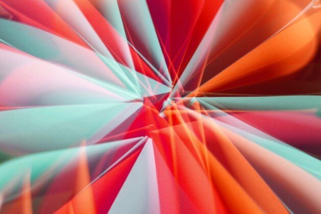 Voici les différentes formes de pénis à connaître