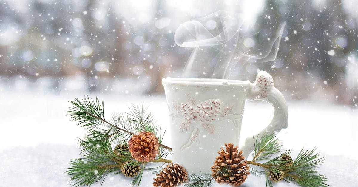 tout sur les pinecones (pommes de pin) : identification, usages créatifs, récolte durable, conservation et idées diy pour la déco saisonnière.