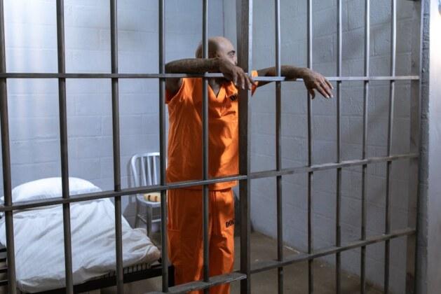 Quelle est la peine maximale de prison en France ?