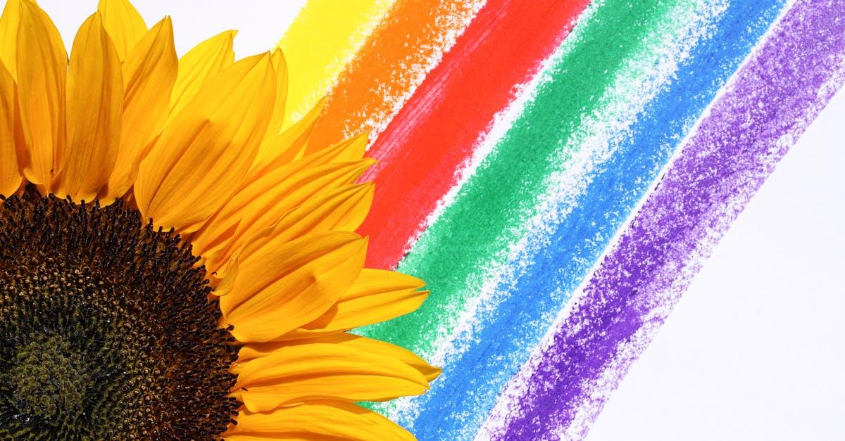 découvrez la signification et la beauté de l’arc-en-ciel, ce phénomène naturel fascinant qui éveille la curiosité et émerveille depuis toujours petits et grands.