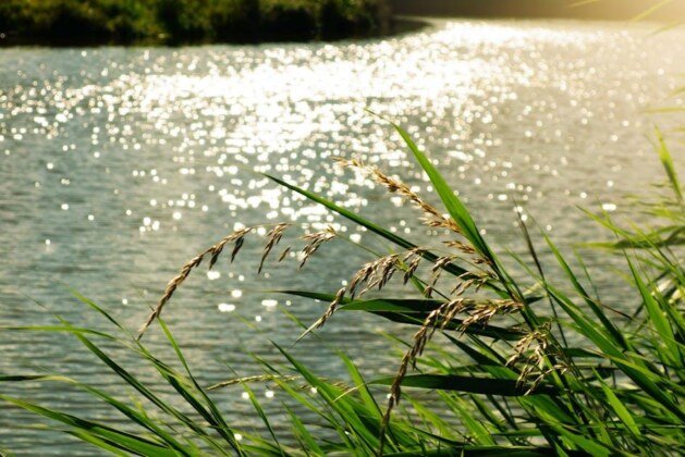 Différencier un fleuve d’une rivière : les distinctions essentielles à connaître