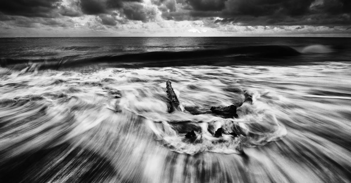 découvrez tout sur tide : signification, utilisations et conseils pratiques autour des marées et du célèbre détergent. explications, astuces et informations essentielles !