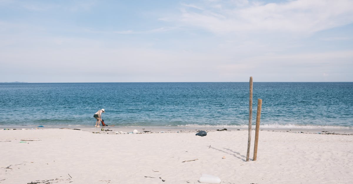 découvrez tout sur tide : son fonctionnement, ses avantages et conseils d’utilisation pour un linge propre et frais à chaque lavage.