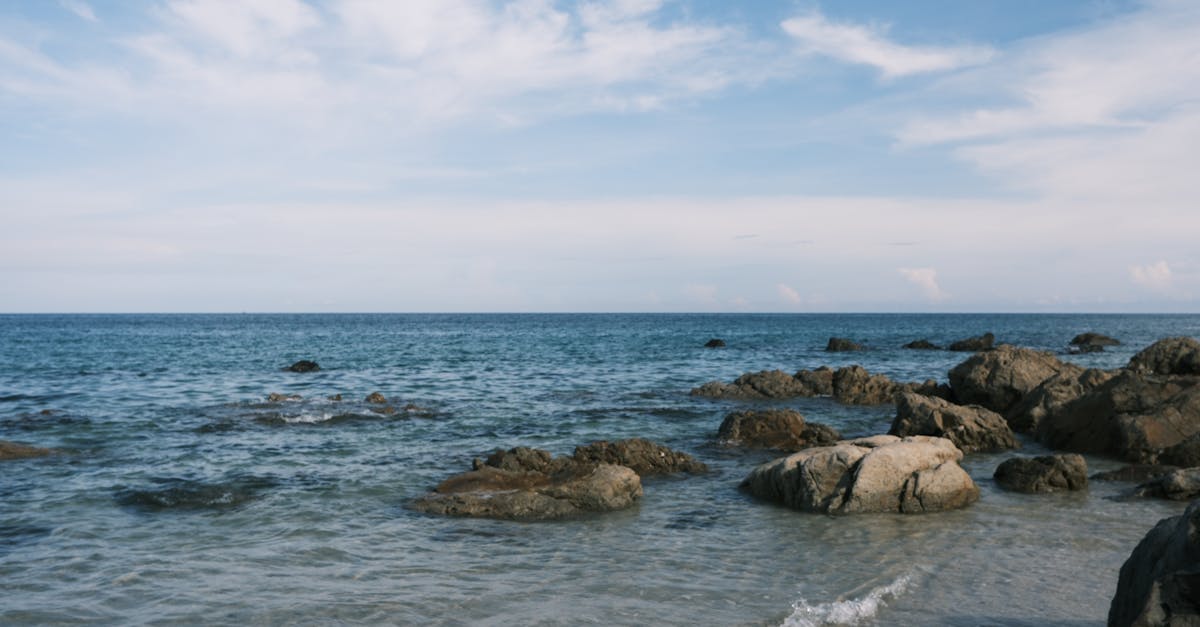 découvrez tide, la plateforme innovante qui simplifie la gestion de vos finances. suivez vos dépenses, gérez vos comptes et atteignez vos objectifs financiers plus facilement avec tide.