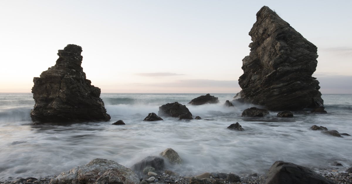 découvrez tout ce qu'il faut savoir sur tide : ses usages, ses avantages et conseils d'utilisation pour un linge toujours impeccable. astuces, avis et informations à retrouver ici.