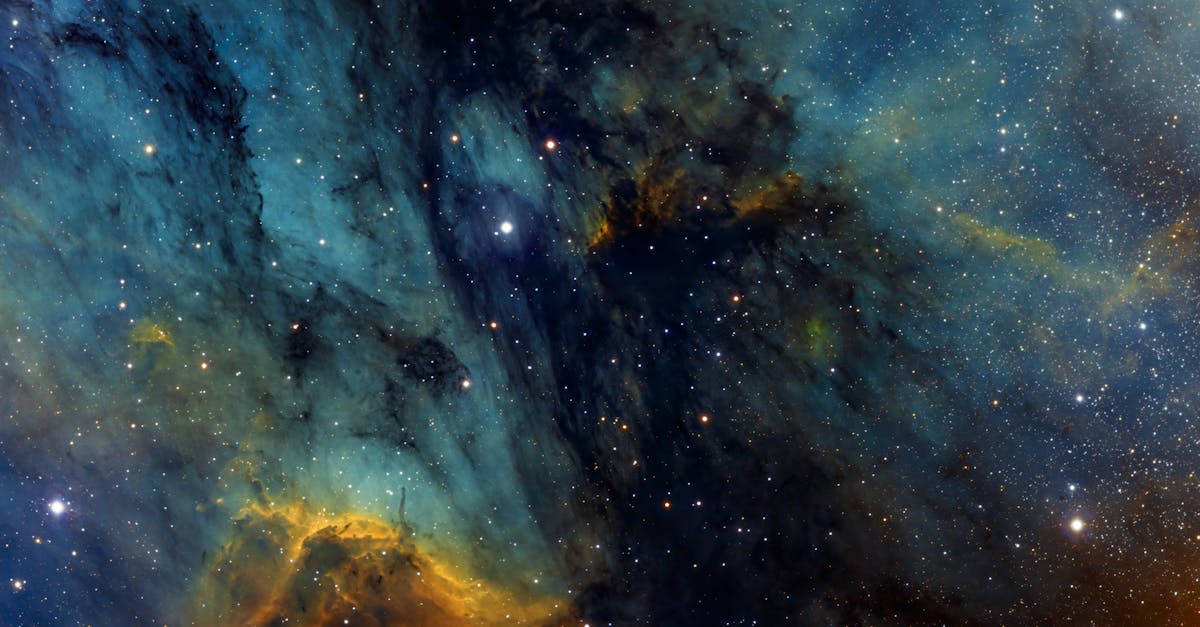 découvrez tout ce qu'il faut savoir sur le donneur universel : définition, groupe sanguin concerné, et son importance vitale pour les transfusions sanguines en urgence.