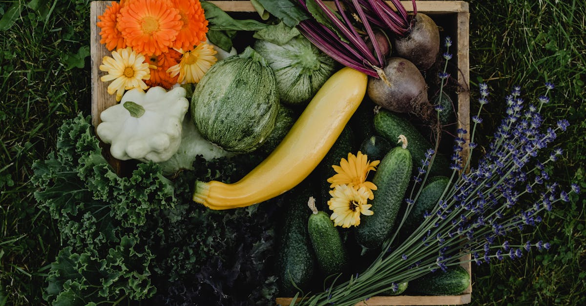 découvrez tout sur la courgette : ses bienfaits pour la santé, des idées de recettes savoureuses et des astuces pour bien la cuisiner. idéal pour une alimentation saine et gourmande !