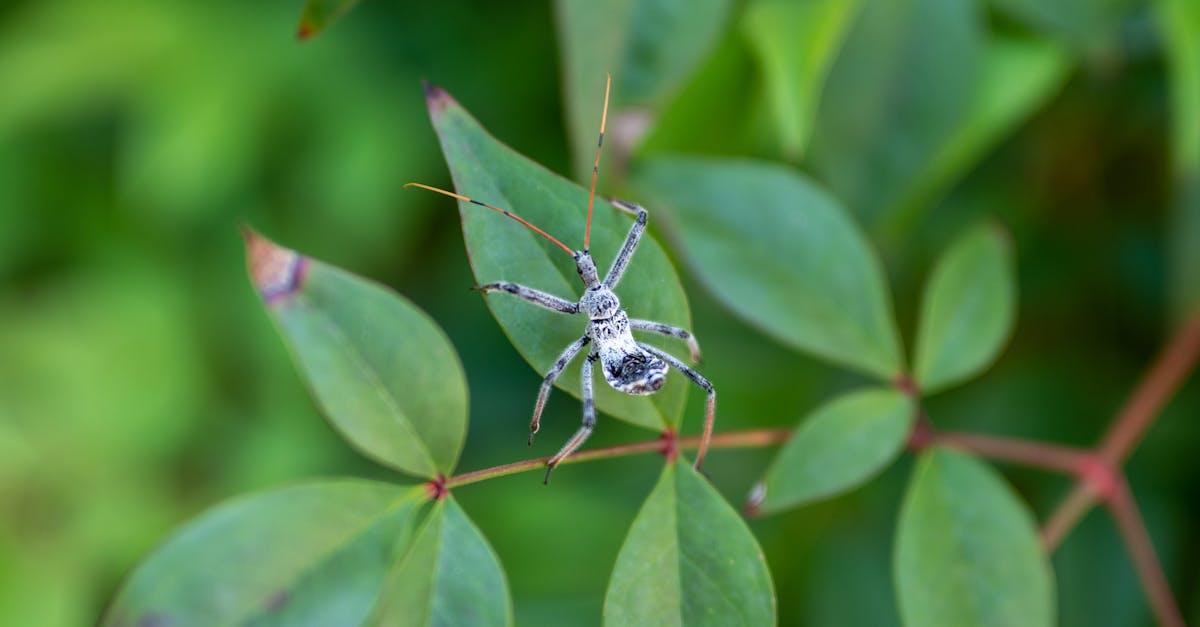 découvrez la signification, l'histoire et les conséquences de l'assassinat, un acte qui a marqué de nombreux événements politiques et sociaux à travers le monde.