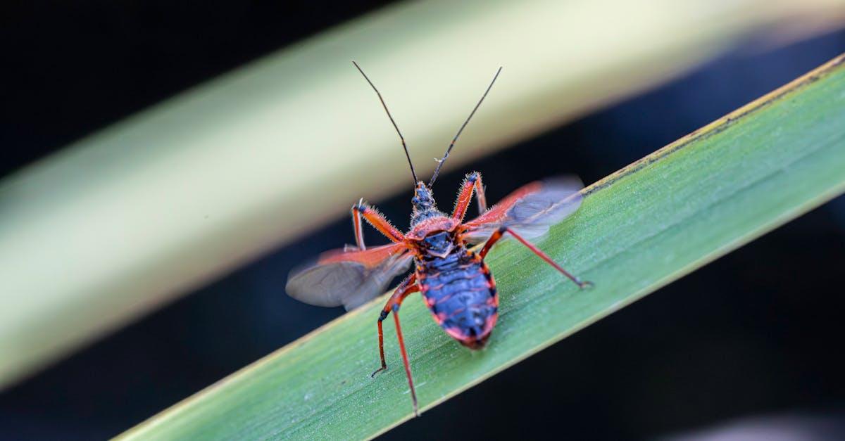 découvrez l'histoire, les motivations et les conséquences des assassinats marquants à travers le monde. analyse des faits, enquêtes, et implications politiques ou sociales liées à l'assassination.