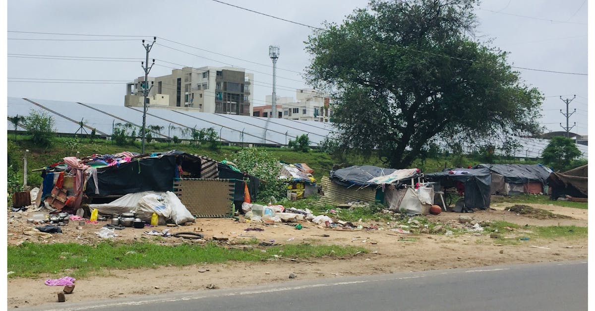 découvrez les différences surprenantes entre le rat des villes et le rat des champs : habitat, alimentation, mode de vie et astuces pour les reconnaître facilement.