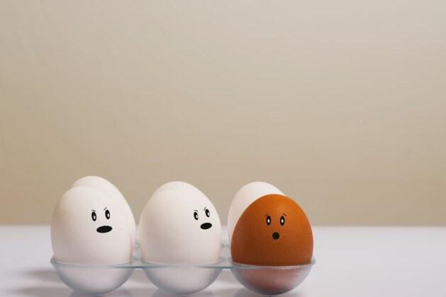 Quelle est la différence entre un léopard et un guépard ?