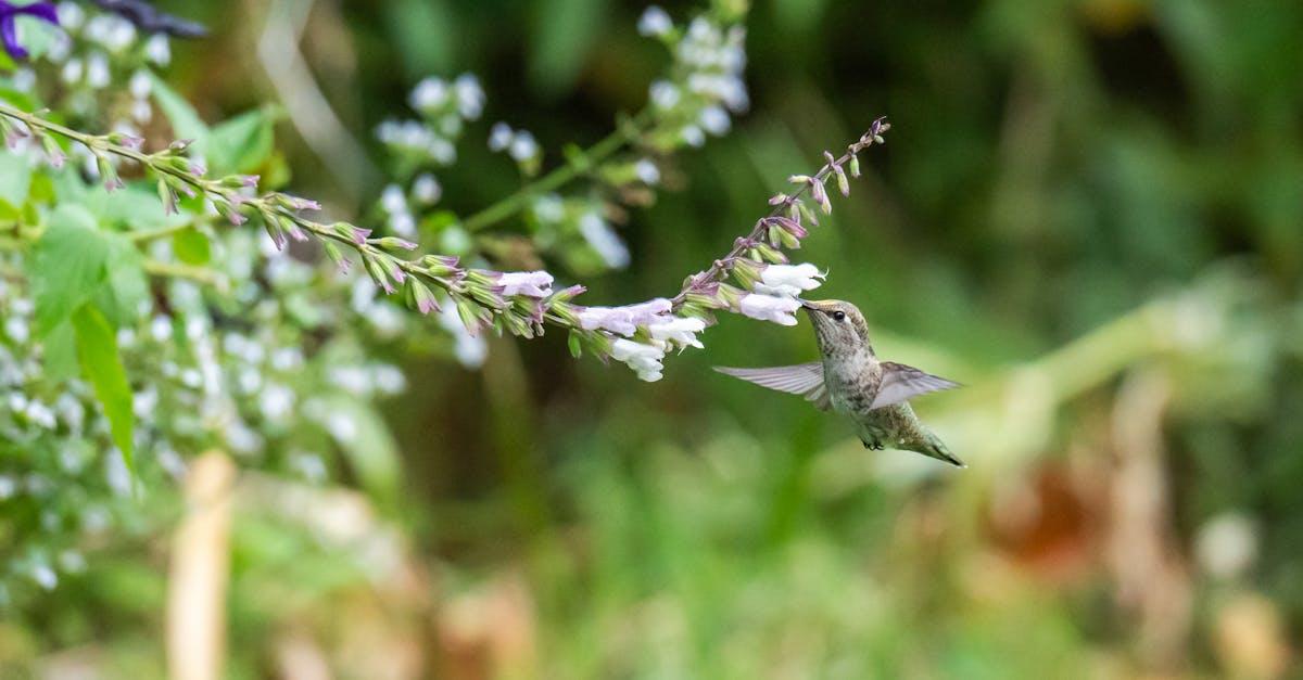 découvrez tout sur le feeding : conseils, astuces et bonnes pratiques pour une alimentation saine, équilibrée et adaptée à tous les âges. améliorez votre bien-être avec nos recommandations sur le feeding.