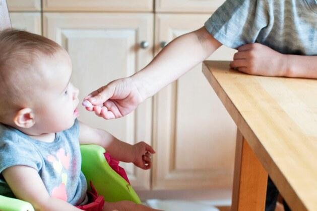 Comment nourrir un oisillon à la seringue : guide complet