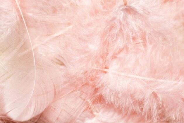 Comment régler une amende égarée ?