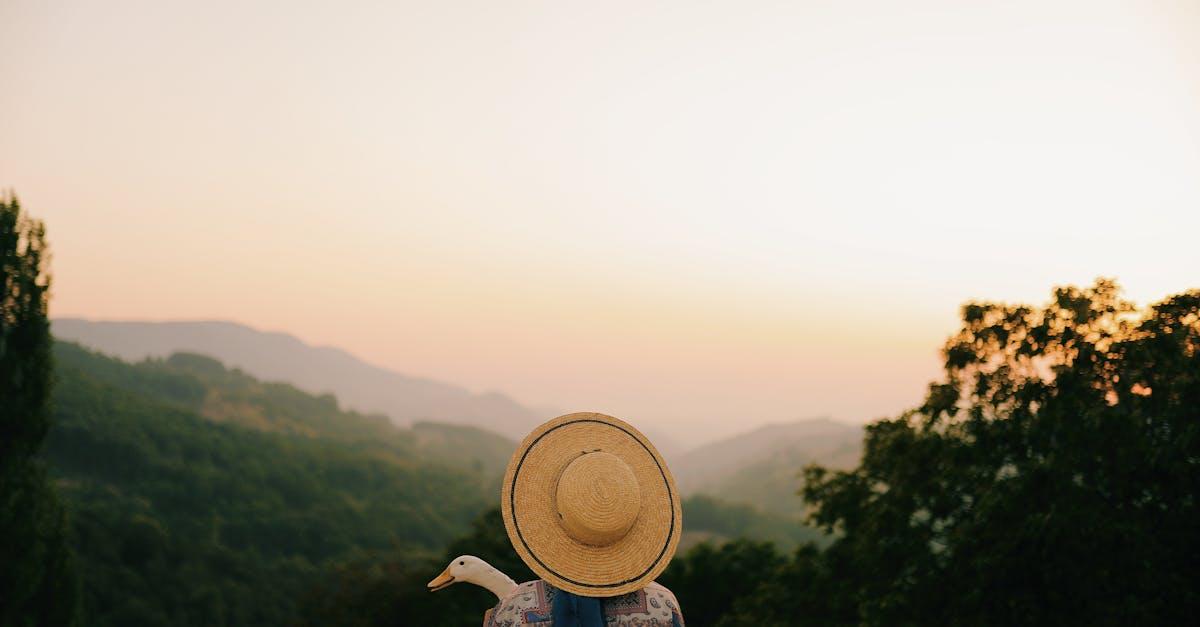découvrez tout ce qu'il faut savoir sur les oies : caractéristiques, habitat, alimentation et conseils pour les observer ou les élever.