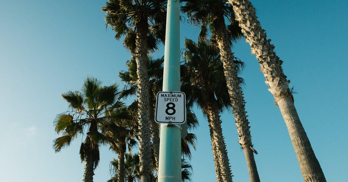 découvrez tout sur la vitesse maximale : définitions, facteurs influençant les limites de rapidité et conseils pour optimiser votre performance en toute sécurité.