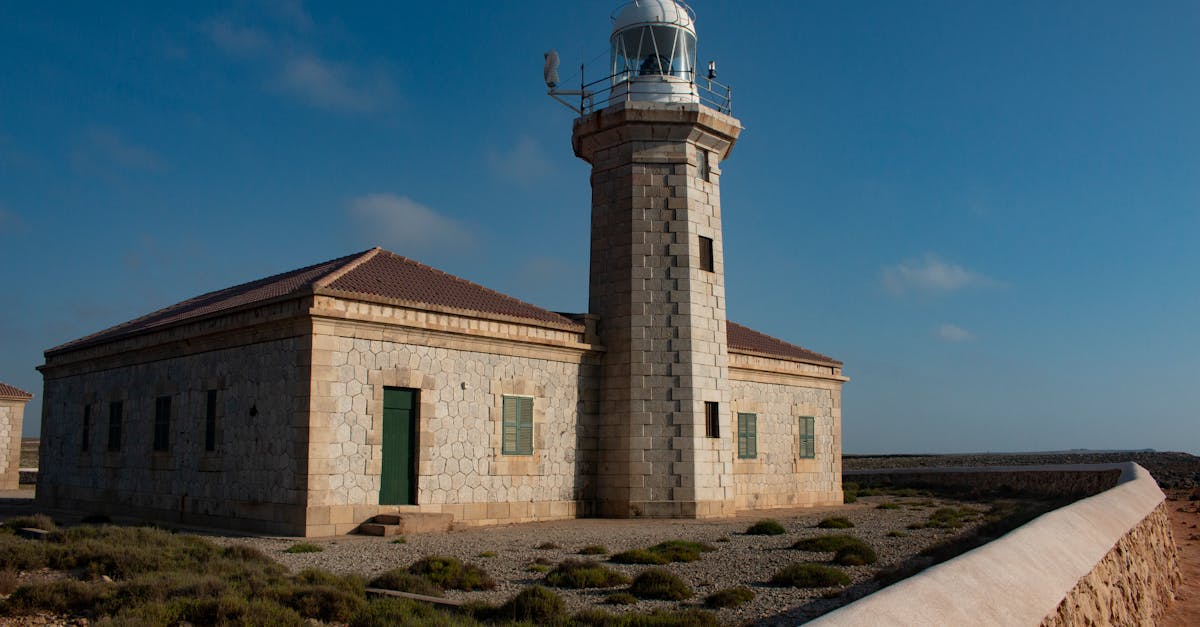 découvrez tout sur le poisson-lune mola, une espèce fascinante des océans, connue pour sa taille impressionnante et ses comportements uniques. informations, habitat et curiosités sur le mola, le géant des mers.