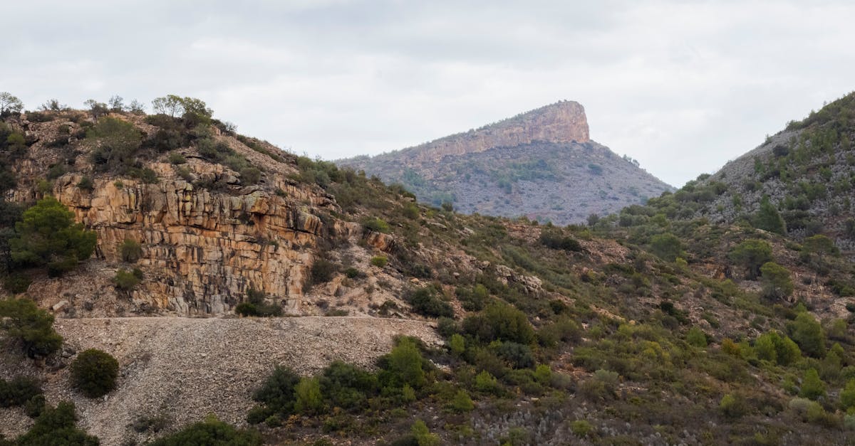 découvrez tout sur le mola, aussi appelé poisson-lune, un poisson fascinant connu pour sa taille impressionnante, sa forme unique et ses habitudes mystérieuses dans les océans du monde.