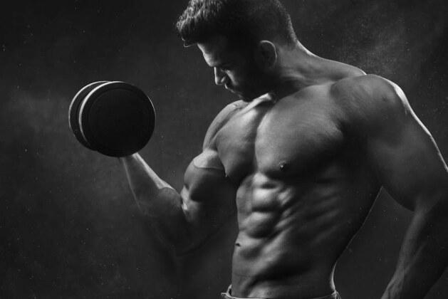 Combien de muscles compose le corps humain ?