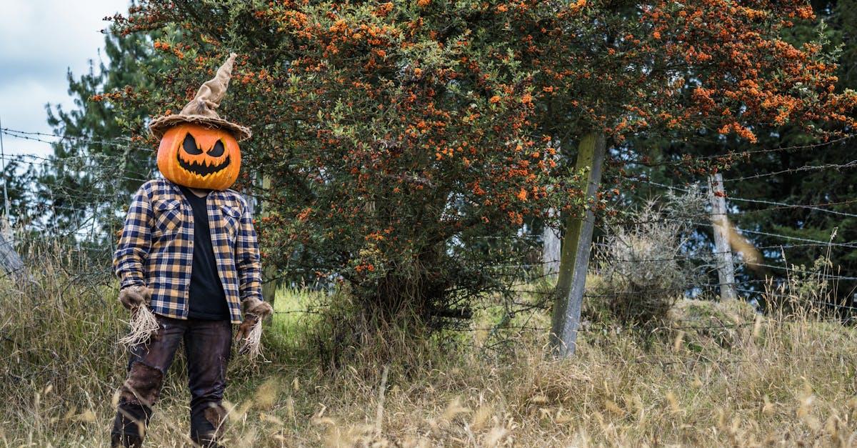 découvrez l'univers fascinant des épouvantails : leur histoire, leur rôle dans les champs et les différentes façons de les fabriquer pour protéger vos cultures efficacement.