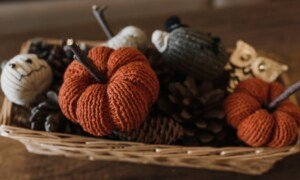 Les épouvantails sont-ils véritablement efficaces contre les oiseaux ?