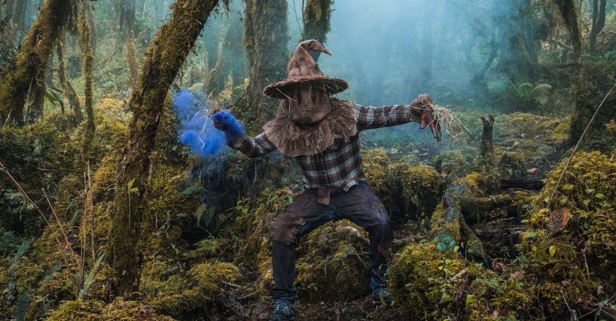 découvrez l’univers des scarecrows, ou épouvantails, ces personnages emblématiques utilisés pour protéger les cultures. histoire, fabrication et utilisations modernes : tout ce qu’il faut savoir sur les épouvantails !