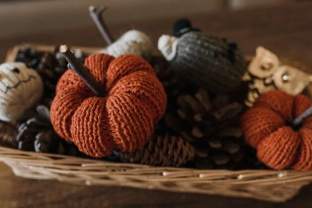 Les épouvantails sont-ils véritablement efficaces contre les oiseaux ?