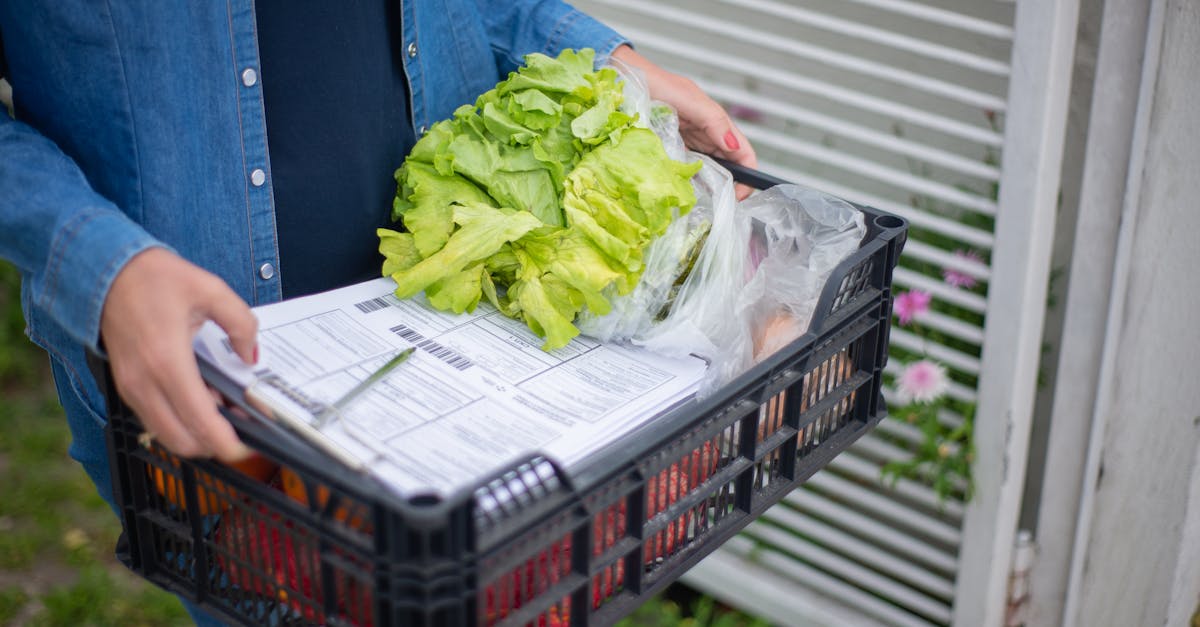 préparez vos courses facilement avec notre shopping list pratique. organisez vos achats, gagnez du temps et évitez les oublis en créant la liste parfaite pour tous vos besoins du quotidien.