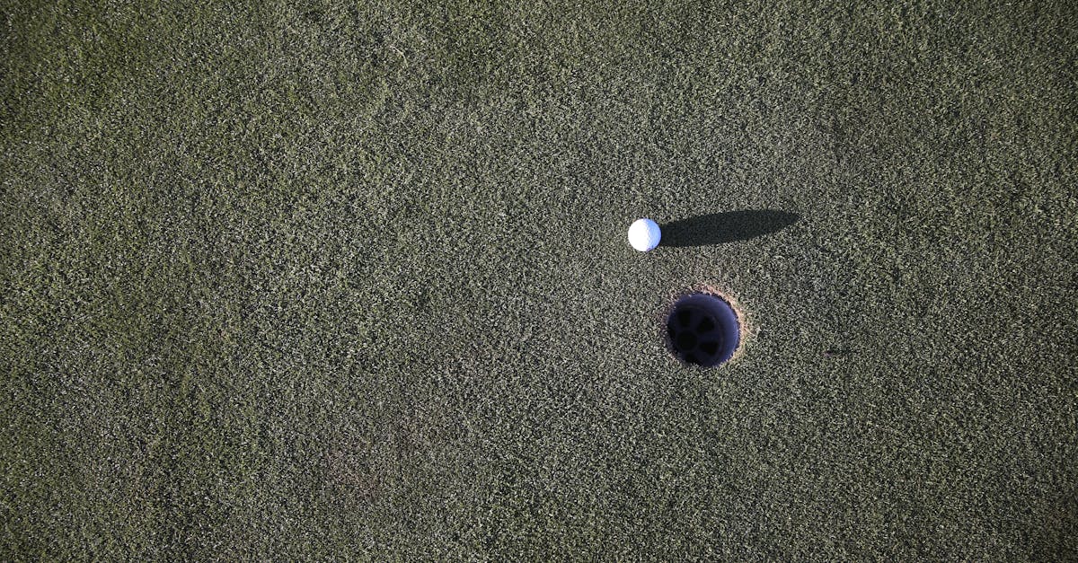 découvrez tout sur le snake hole : définition, usages, et conseils pour l'identifier dans la nature. informez-vous sur les habitats de serpents et la sécurité.