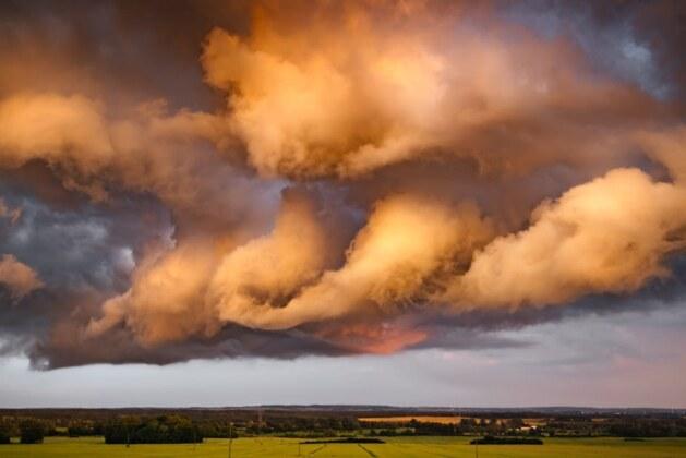 Comment identifier un trou de serpent dans votre jardin ?