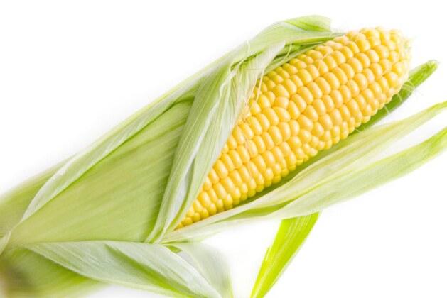 Quel légume accompagner avec la langue de bœuf ?