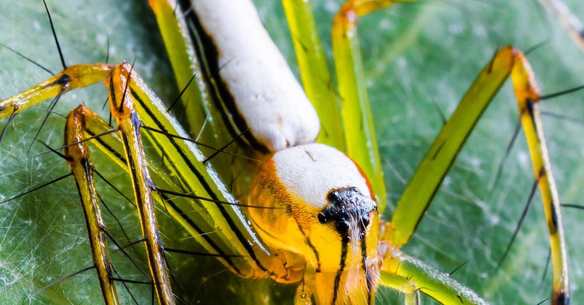 découvrez la signification, l'origine et les exemples d'utilisation du terme 'venomous', désignant ce qui est venimeux ou porteur de venin. informations essentielles et détaillées sur ce mot en anglais.