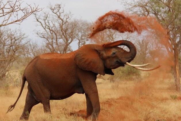 Afrique : quel était l’ancien nom de ce continent ?