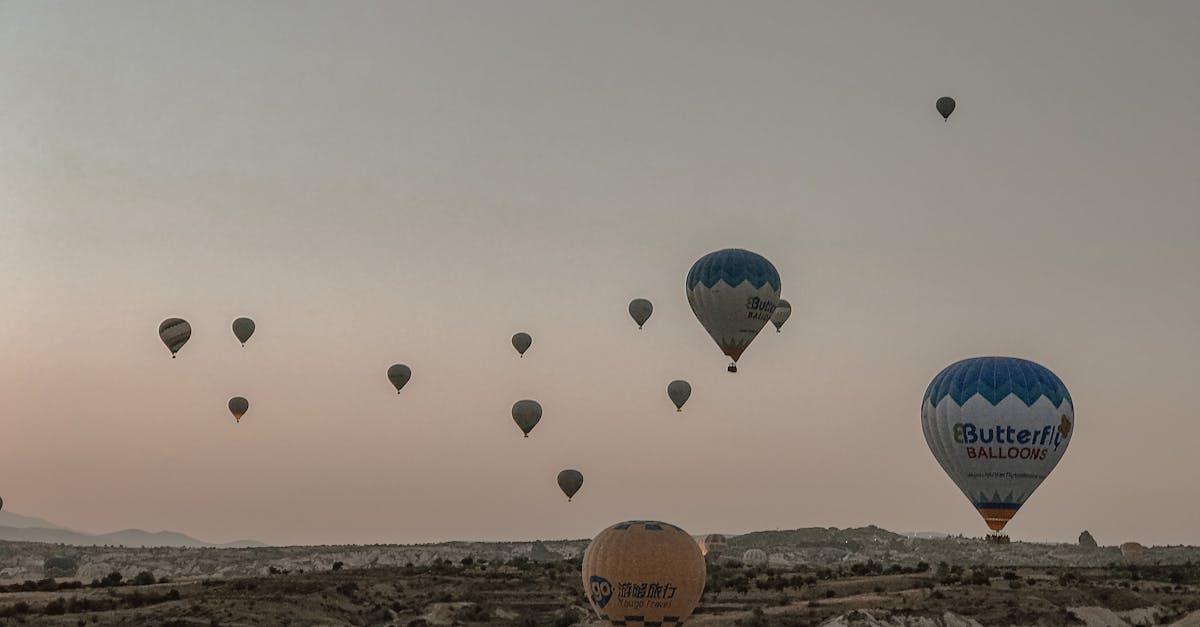 découvrez l'art de l'approximation et ses applications pratiques dans divers domaines pour faciliter les calculs et simplifier les problèmes complexes.