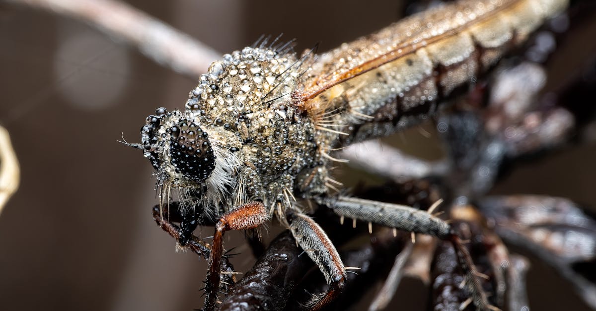 découvrez tout ce qu'il faut savoir sur l'approximation : définitions, méthodes et applications pour mieux comprendre ce concept clé en mathématiques et sciences.