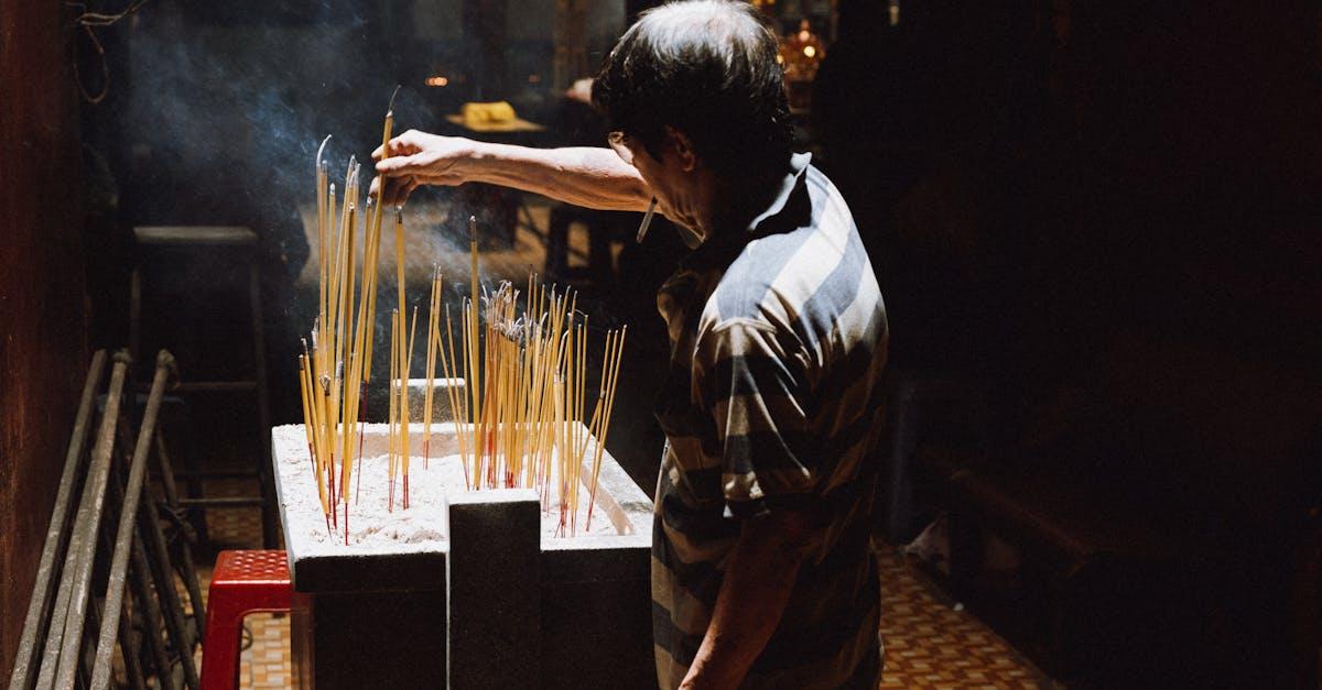 découvrez tout sur le frelon asiatique : identification, risques, prévention et méthodes de lutte contre cet insecte envahissant.