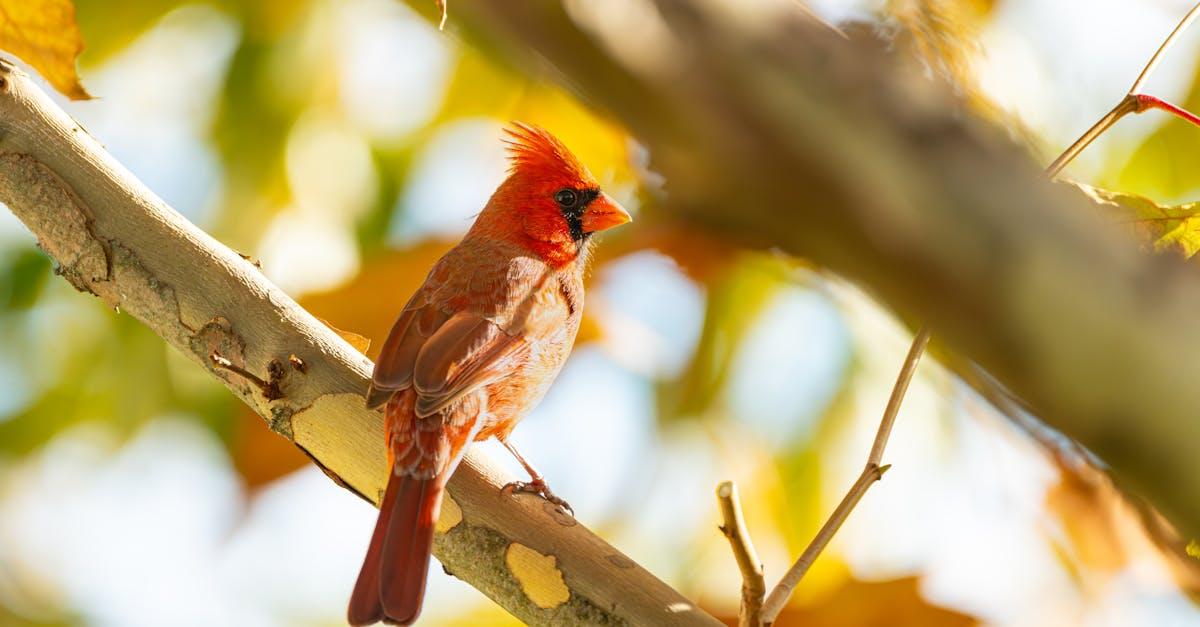 découvrez le phénomène du binge-watching : comment regarder plusieurs épisodes d'une série d'affilée, ses avantages et ses impacts sur notre consommation de contenu.