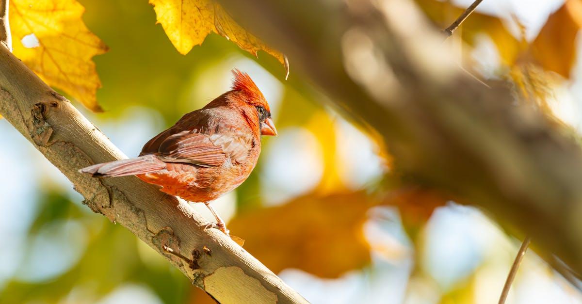 découvrez tout sur le binge-watching : ses origines, ses effets, et comment profiter pleinement de vos séries préférées en regardant plusieurs épisodes d'affilée.