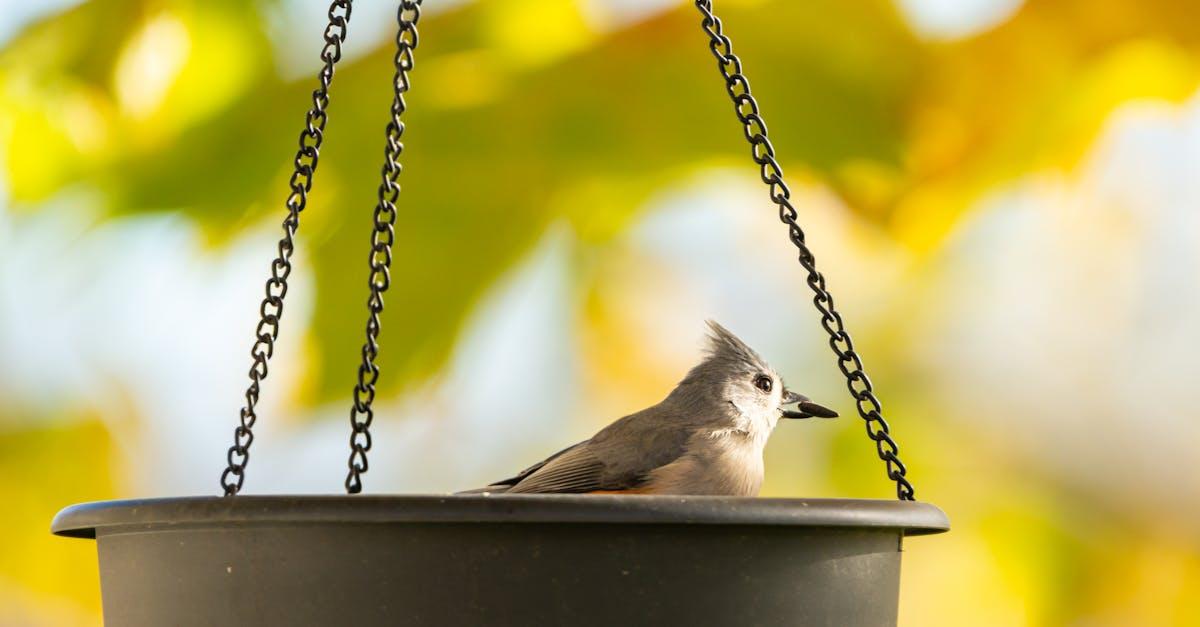 découvrez le phénomène du binge-watching : regarder plusieurs épisodes d'une série en continu, ses impacts sur notre quotidien et ses avantages.