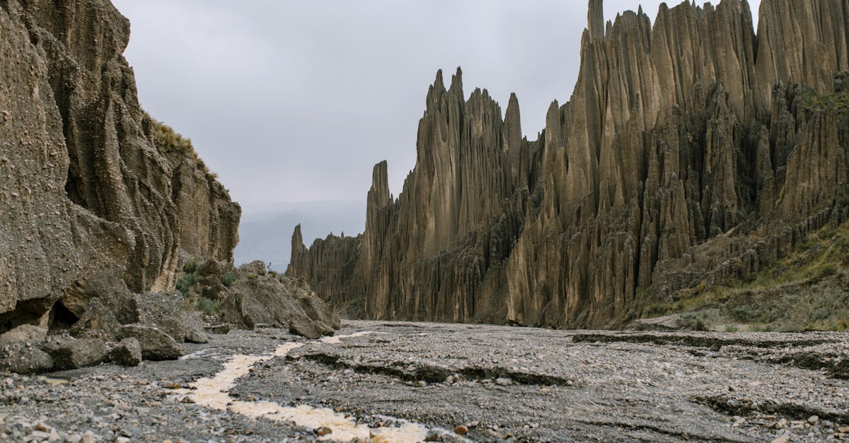découvrez toutes les capitales de la bolivie, leurs caractéristiques et leur importance culturelle et historique.