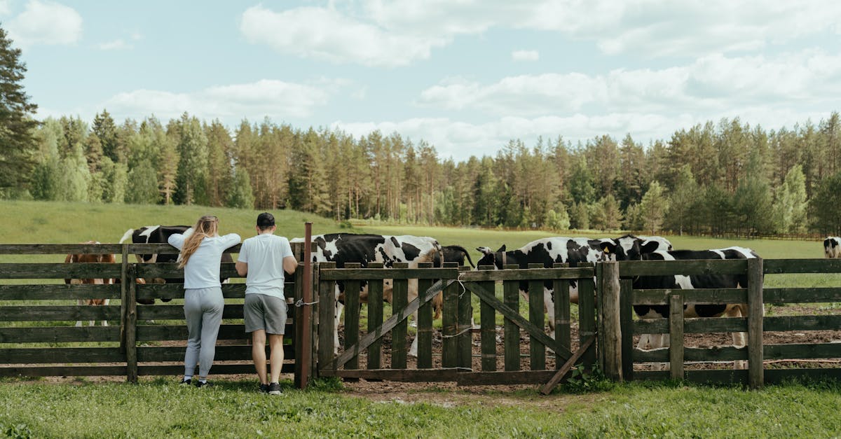 découvrez tout sur le bull : caractéristiques, comportement, et conseils pour mieux comprendre cet animal puissant.